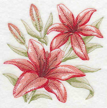 Scarlet Lilies Sketch