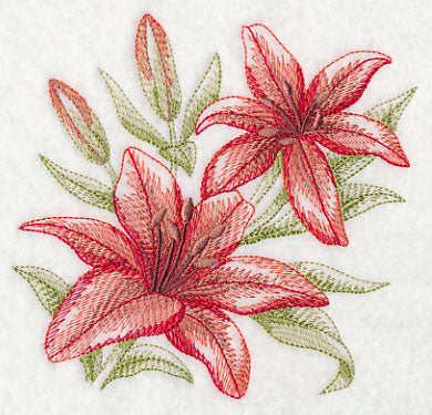 Scarlet Lilies Sketch