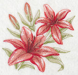 Scarlet Lilies Sketch