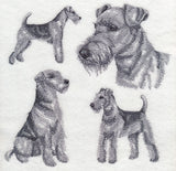 Airedale Sketch (Docked Tail)