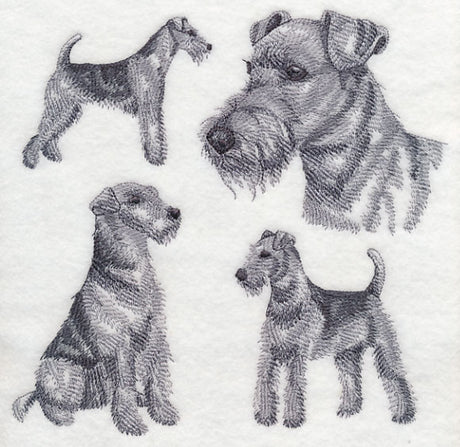 Airedale Sketch (Docked Tail)