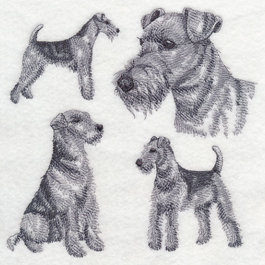 Airedale Sketch (Docked Tail)