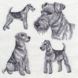 Airedale Sketch (Docked Tail)