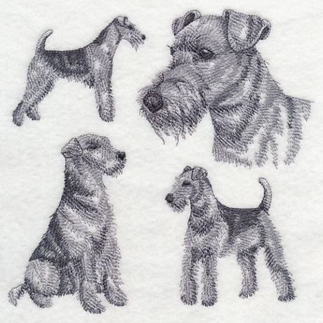 Airedale Sketch (Docked Tail)