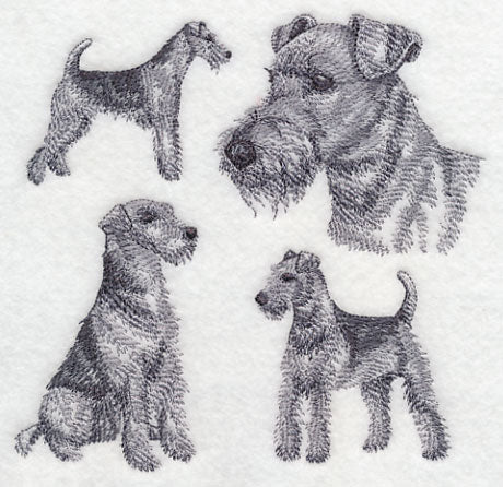 Airedale Sketch (Docked Tail)