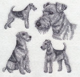 Airedale Sketch (Docked Tail)