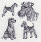 Airedale Sketch (Docked Tail)