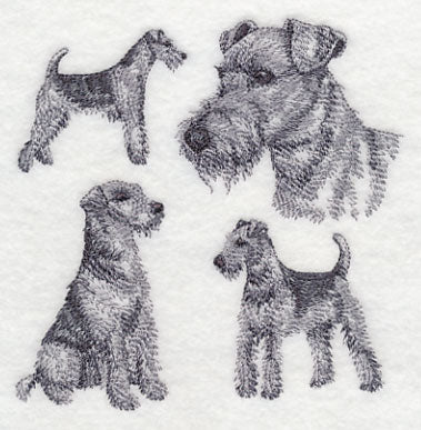 Airedale Sketch (Docked Tail)