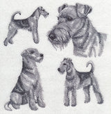 Airedale Sketch
