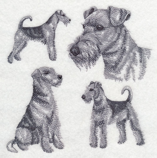 Airedale Sketch