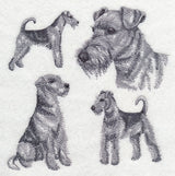 Airedale Sketch