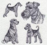 Airedale Sketch