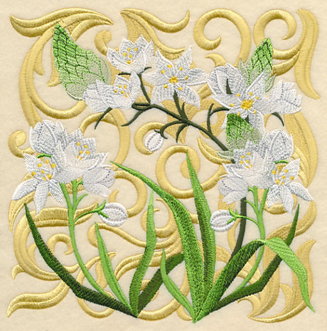 Blooming Star of Bethlehem Square