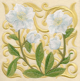 Blooming Lenten Rose Square