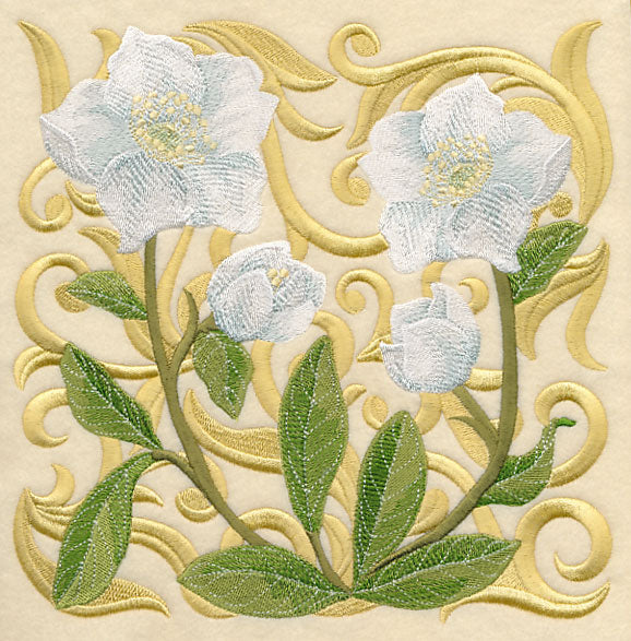 Blooming Lenten Rose Square