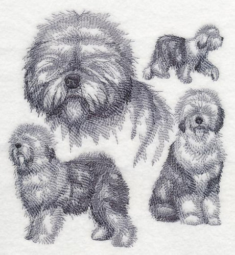 Old English Sheepdog Sketch