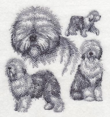 Old English Sheepdog Sketch