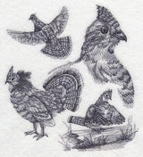 Ruffed Grouse Sketch