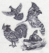 Ruffed Grouse Sketch