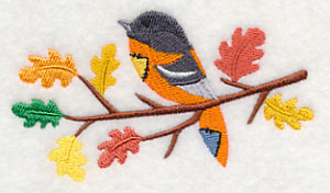 Branching Out with a Crafty Oriole