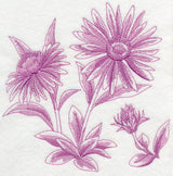 Aster Botanical (Toile)