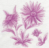 Aster Botanical (Toile)