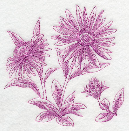Aster Botanical (Toile)