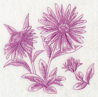 Aster Botanical (Toile)