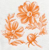 Cosmos Botanical (Toile)