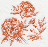 Marigold Botanical (Toile)