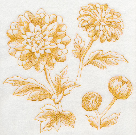 Chrysanthemum Botanical (Toile)