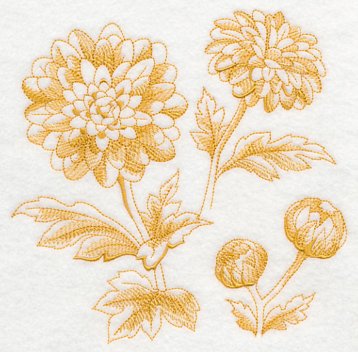 Chrysanthemum Botanical (Toile)