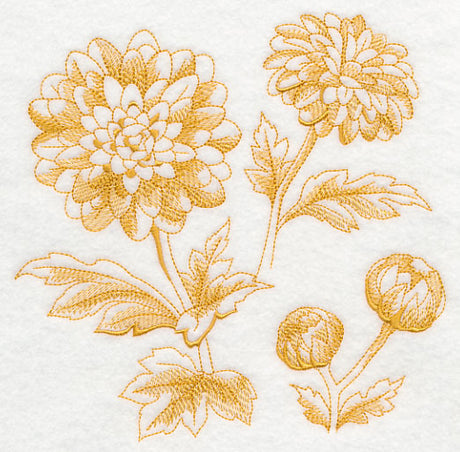 Chrysanthemum Botanical (Toile)