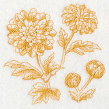Chrysanthemum Botanical (Toile)