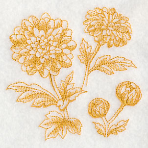 Chrysanthemum Botanical (Toile)