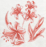 Nerine Botanical (Toile)