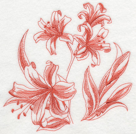 Nerine Botanical (Toile)