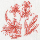 Nerine Botanical (Toile)