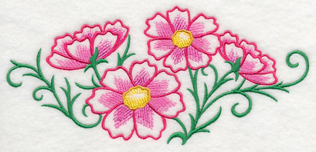 Cosmos in Whimsy Spray