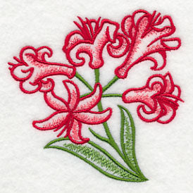 Nerine in Whimsy