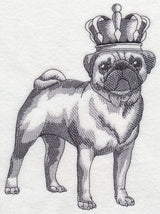 Pug in Crown