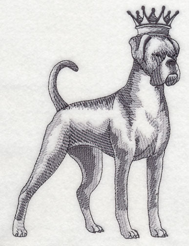 Boxer in Crown
