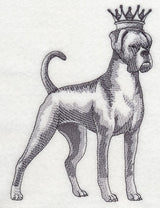 Boxer in Crown