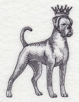 Boxer in Crown