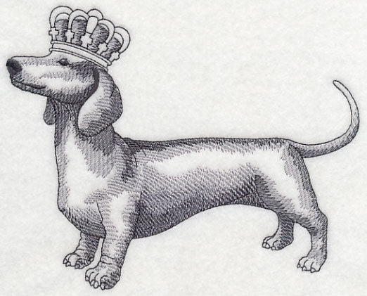 Dachshund in Crown