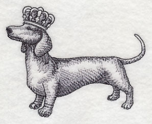 Dachshund in Crown