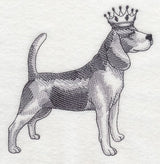 Beagle in Crown