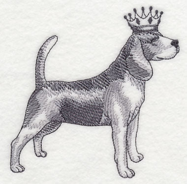 Beagle in Crown