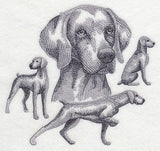 Weimaraner Sketch (Docked Tail)
