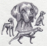 Weimaraner Sketch (Docked Tail)